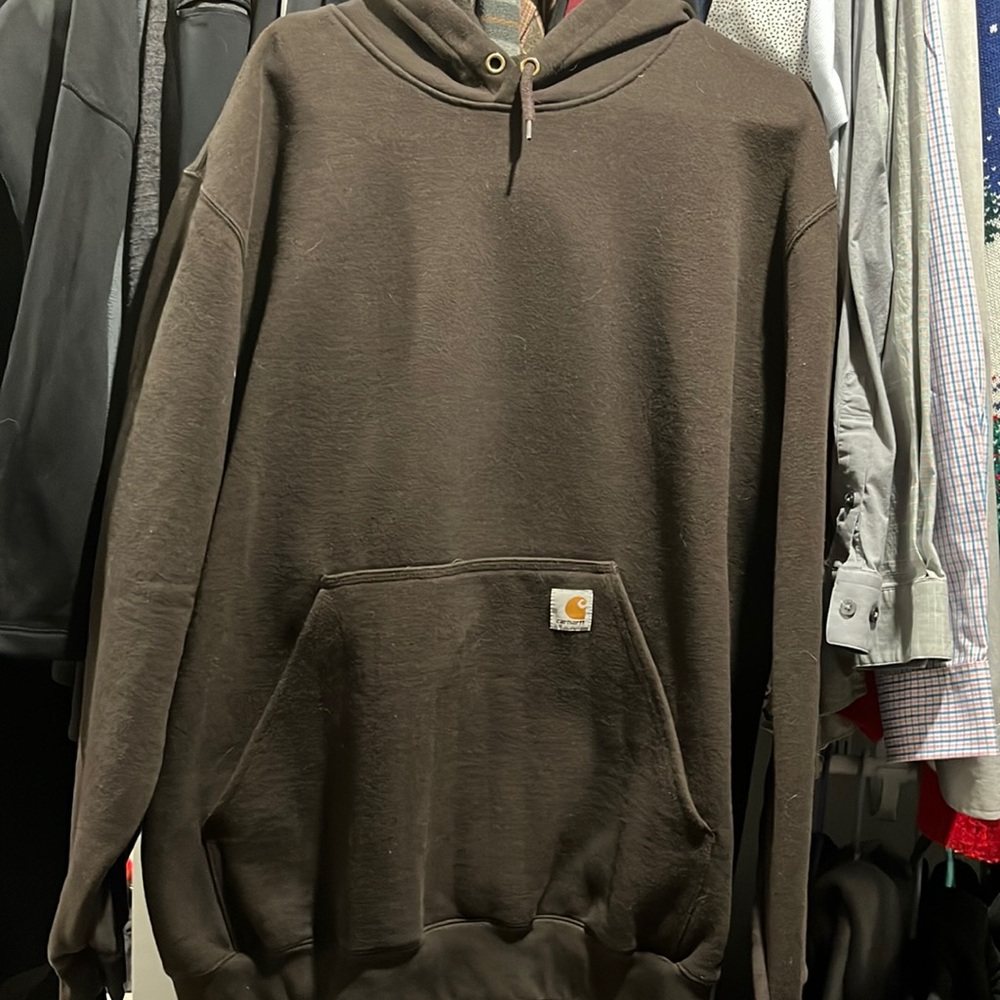 NWOT Carhartt Hoodie - Original Fit